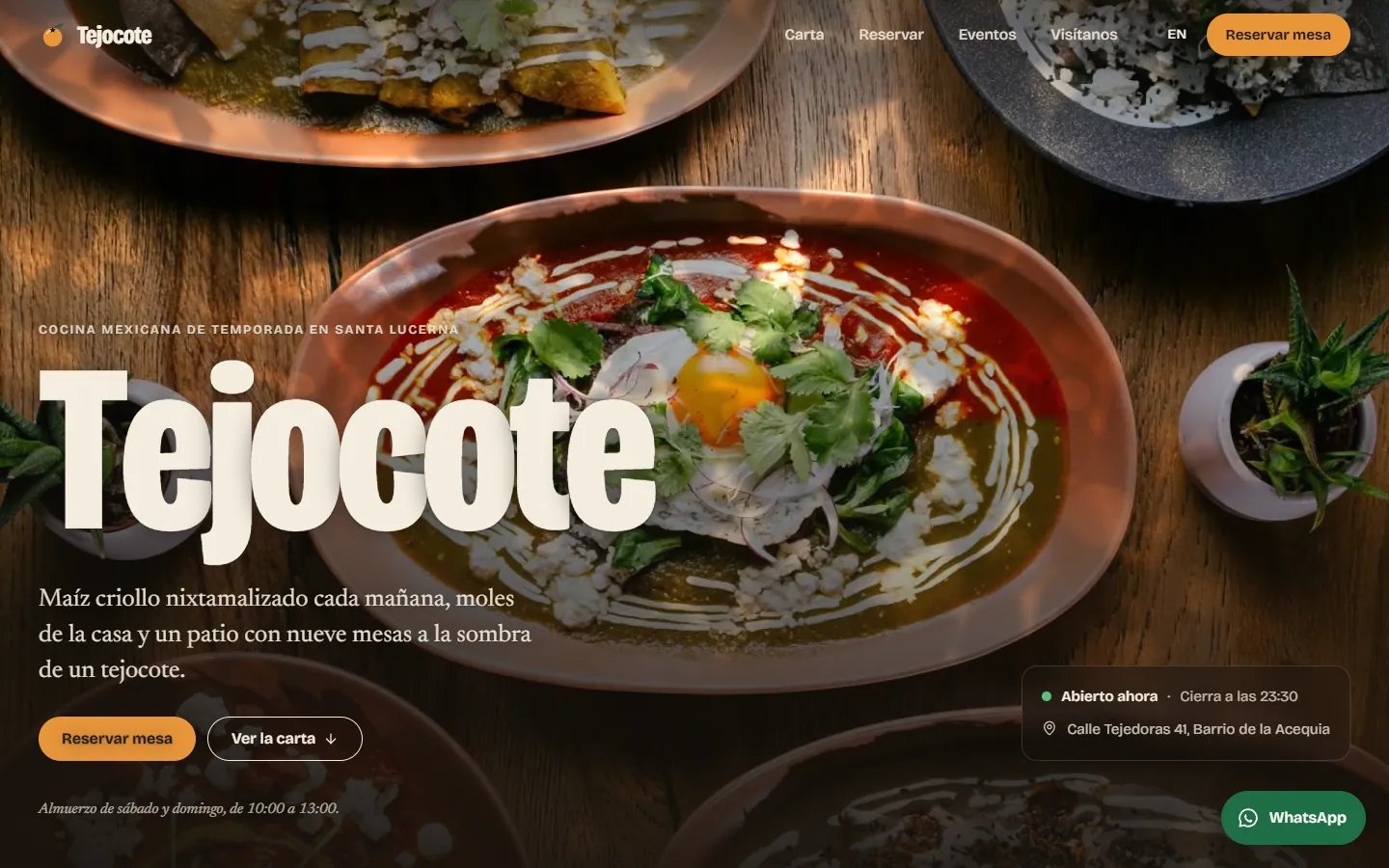 Página de inicio de Tejocote